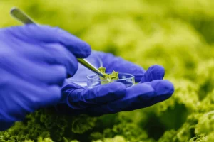 Mercado de bioinsumos é tema de debate