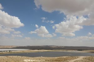 Israel ensina a produzir alimentos no deserto