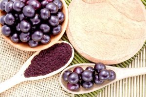 Agro brasileiro é show! Só neste ano 20 novos países começaram comprar nossos produtos