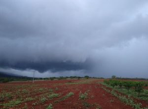 Terça-feira com previsão de pancadas de chuvas em algumas regiões do Paraná