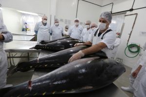 Mercado do atum movimenta R$ 8 bilhões na economia brasileira