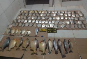 Polícia apreende carregamento irregular de peixes
