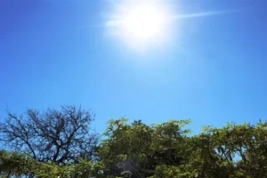Confira a previsão do tempo para o início da semana no Paraná