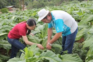 Reuniões discutem melhorias na defesa agropecuária e na vigilância fitossanitária