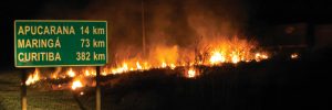 Incêndios podem causar perdas irreparáveis ao solo