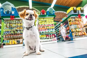 Brasil é top 3 no ranking de mercados pet