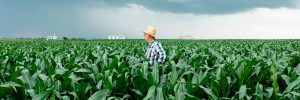 Paraná aumenta Piso Regional de trabalhadores agropecuários, florestais e da pesca