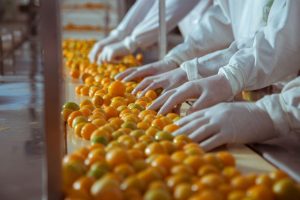 Produtores de Nova Tebas investem para produzir polpa de frutas
