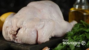 Exportação de carne de frango soma 435,1 mil toneladas em abril