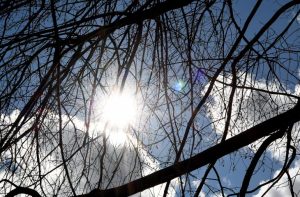 Sol predomina em todo o Paraná nesta quarta-feira