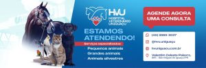 Hospital Veterinário da Uniguaçu contará com centro cirúrgico para pequenos e grandes animais