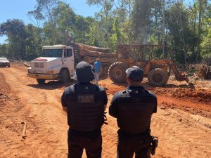 Polícia prende quadrilha especializada em desmatamento ilegal