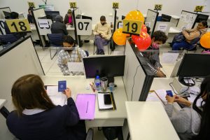Empregos no agro: Paraná tem quase 3 mil vagas nesta semana