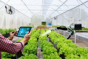 Embrapa lança livro sobre os atuais avanços tecnológicos na agricultura