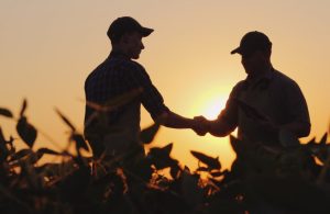 Valor Bruto da Produção Agropecuária em 2023 deve ser recorde