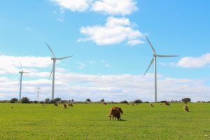 Especialistas debatem descarbonização e sustentabilidade da agropecuária