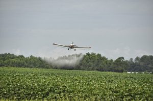 Proibição de pulverização aérea de defensivos é mantida