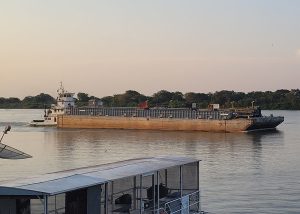 Estudo monitora pesca profissional e garante manutenção dos peixes na Bacia do Alto Paraguai