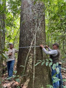 Tecnologias agropecuárias e manejo florestal de precisão promovem o desenvolvimento sustentável