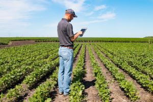 Com sucesso de crédito rural dolarizado, governo busca novos investimentos no financiamento