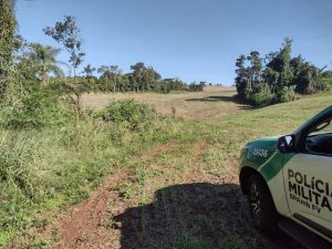 Flagrantes de desmatamento geram multas de quase R$ 1 milhão no Paraná