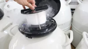 Bom momento do leite puxa venda de sêmen no 1º trimestre, aponta pesquisa