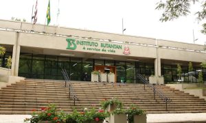 A vacina vem aí: Butantan começa a desenvolver imunizante contra gripe aviária