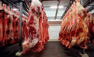 Exportações totais de carne bovina tiveram queda na receita e no volume em abril