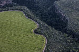 Proposta visa dobrar área de plantio no Brasil sem desmatamento