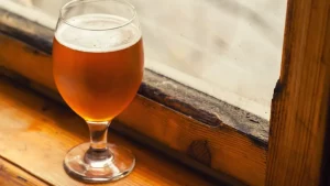 Outono: descubra quais são as cervejas mais indicadas para esse período do ano