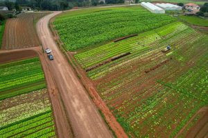 Pavimentação de estrada rural vai incentivar agricultura e turismo em região agrícola