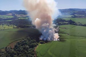 Primeira ação do IAT após parceria com a Marinha termina com prisão e multas por desmatamento