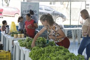 Feira do Produtor Urbano oferece hortaliças a preços acessíveis em Cascavel
