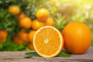 Custo de exportação de suco de laranja sobe U$100 milhões