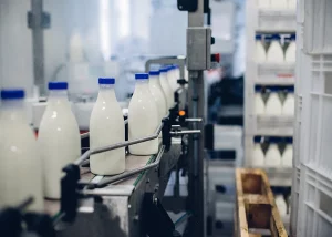 Mercado do leite prova o sabor do investimento em genética superior