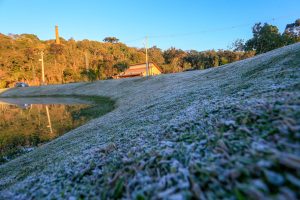 Serviço Alerta Geada começa nesta segunda-feira