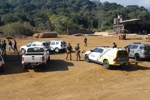 Operação conjunta combate comércio de madeira ilegal no Paraná