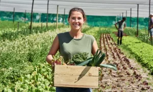 IDR-Paraná promove eventos para fortalecer o protagonismo feminino no campo