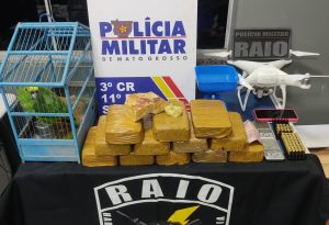 Mulher é presa pela polícia por maus-tratos a papagaio