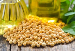 Cadeia da soja e do biodiesel gerou 2 milhões de empregos em 2022