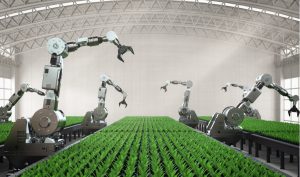 Soluções robóticas no campo surgem como alternativa para melhorar produtividade do agronegócio