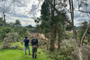 Polícia Militar resgata 76 aves nativas e prende seis pessoas por crimes ambientais