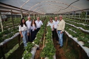 Agricultura familiar recebe investimentos na região de Maringá