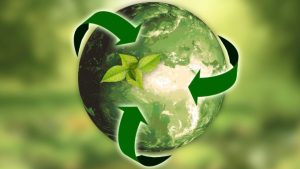 Mapa lança Consulta Pública para o Programa Carbono + Verde