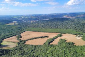 Com fiscalização rígida, IAT aumenta número de autuações sobre os desmatamentos