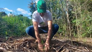 Sustentabilidade na prática: M.A. Máquinas recupera área de fundo de vale e faz plantio de mais de 1.200 árvores