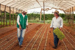 Assistência técnica e gerencial do Senar alcança 3 milhões de atendimentos