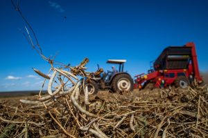 PIB da agropecuária cresce 21,6% no 1º trimestre de 2023