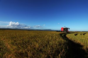 Valor bruto da produção agropecuária em 2023 é estimado em R$ 1,179 trilhão