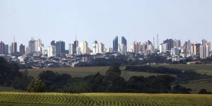 Destaque no agro, Cascavel deve ficar em 3° lugar no Valor Bruto de Produção do PR